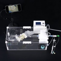 脉冲可调式TAVR手术模拟器