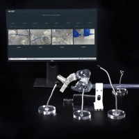 TPVR肺瓣模拟器+影像系统