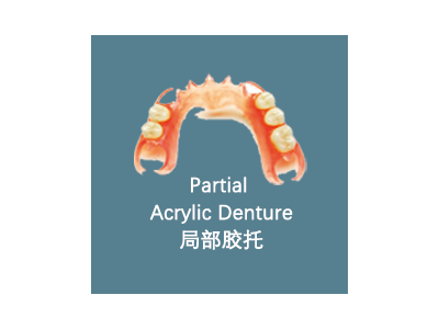 Partial  Acrylic Denture 局部胶托图1