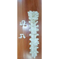 3D打印导板